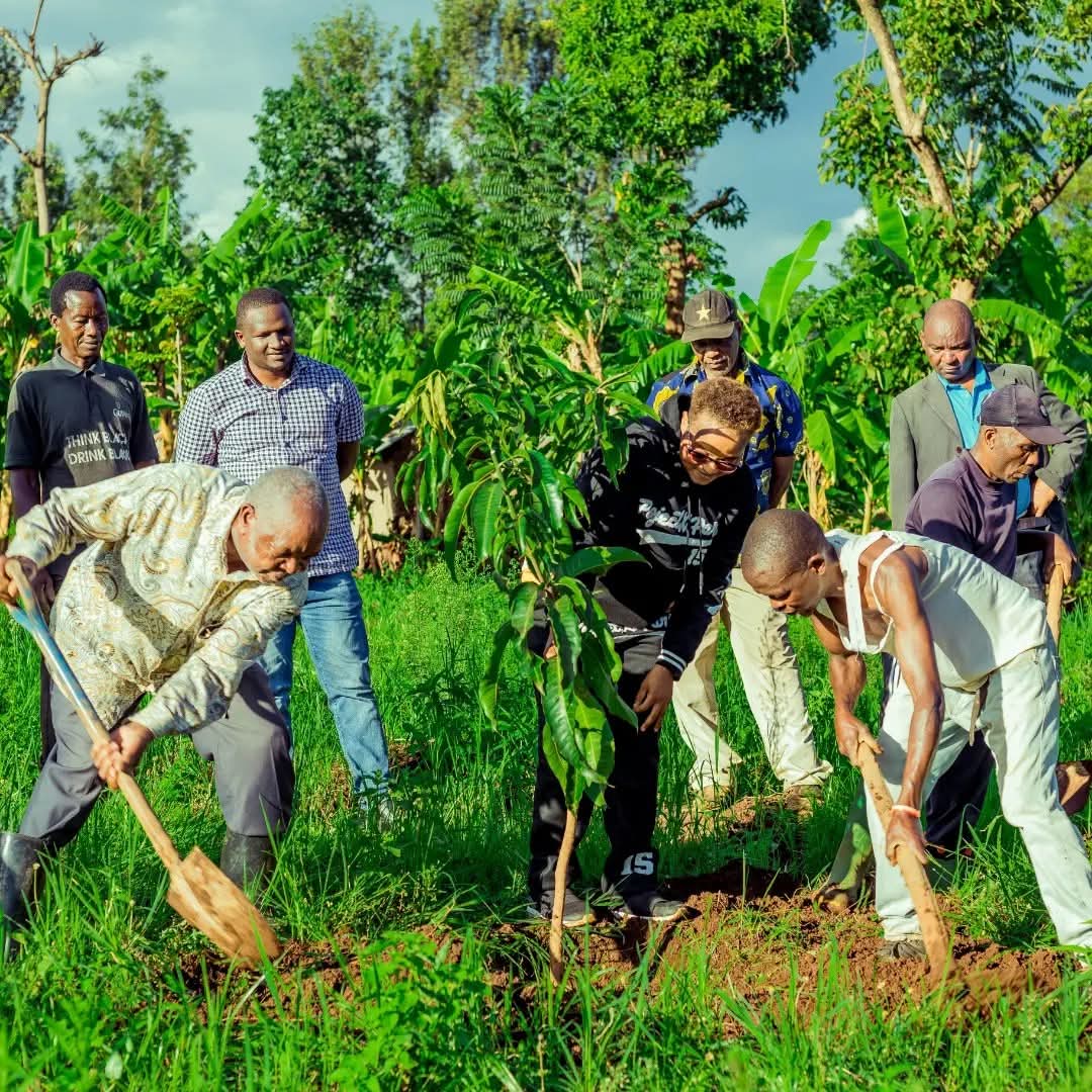 Environment Program